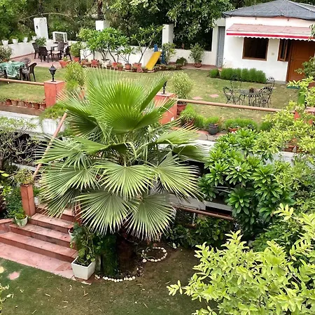 The Stay Inn New Delhi-2